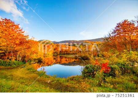 地蔵池の紅葉 地蔵池の紅葉 75251361