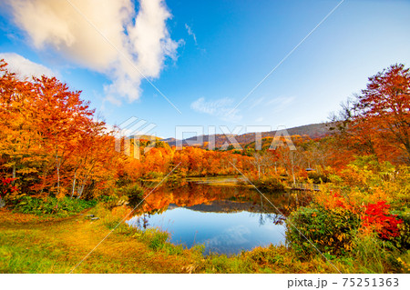 地蔵池の紅葉 地蔵池の紅葉 75251363