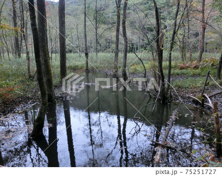 土湯温泉　男沼　福島県福島市 75251727