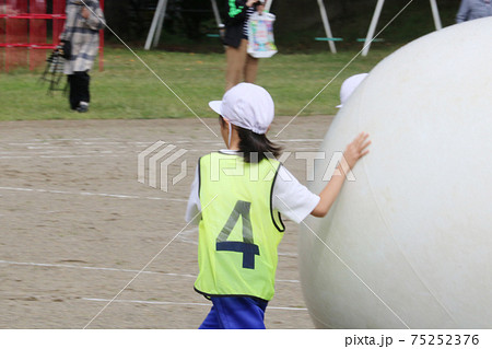 小学校の運動会で大玉送り。白組赤組がんばれ 小学校の運動会で大玉送り。白組赤組がんばれ 75252376