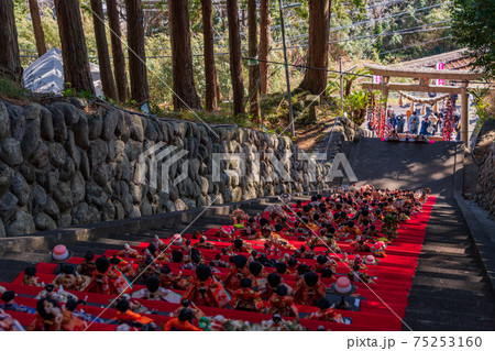 （静岡県）稲取の素盞嗚（スサノオ）神社　雛段飾り 75253160
