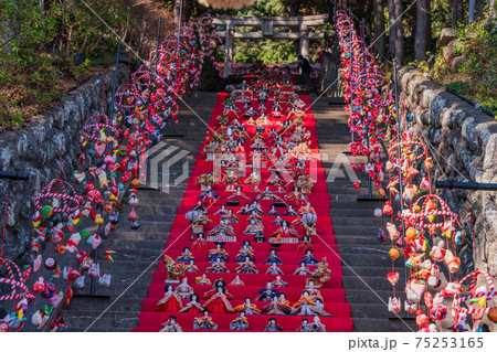 （静岡県）稲取の素盞嗚（スサノオ）神社　雛段飾り 75253165