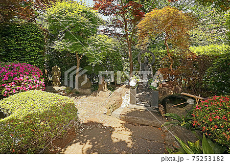 金剛寺(北) 金剛寺(北) 75253182