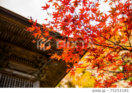 秋の山寺 75253183