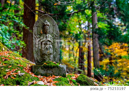 秋の山寺 秋の山寺 75253197