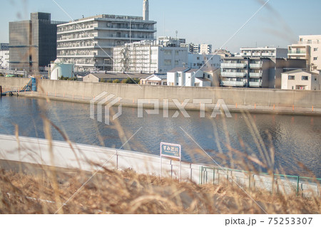 隅田川沿いの街並み／東京都北区志茂 75253307