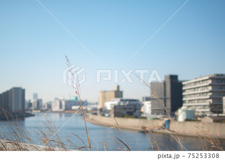 隅田川沿いの街並み/東京都北区志茂 隅田川沿いの街並み/東京都北区志茂 75253308