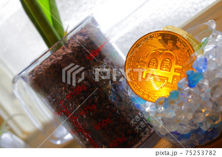黄金色に輝く仮想通貨ビットコインとサンスベリアの植物 75253782