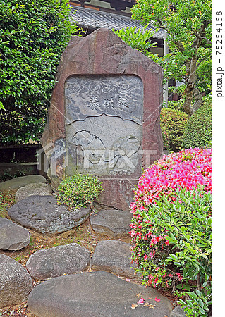 護国寺(文京) 護国寺(文京) 75254158