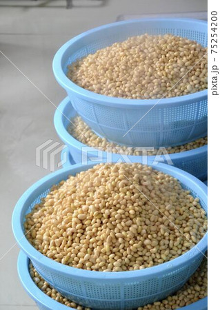 大豆を煮て味噌づくり 75254200