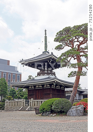 護国寺（文京） 75254280