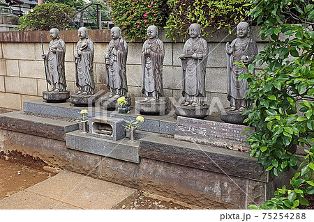 護国寺（文京） 75254288