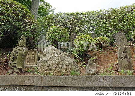 護国寺（文京） 75254362