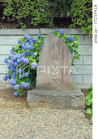 護国寺(文京) 護国寺(文京) 75254418