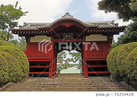 護国寺（文京） 75254420