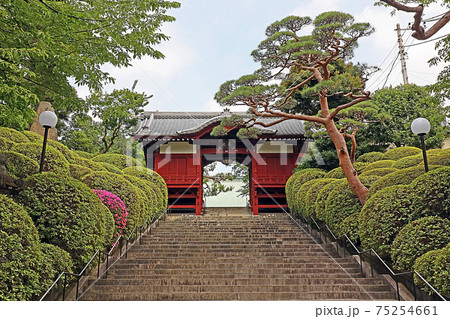 護国寺（文京） 75254661