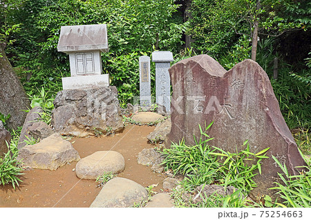 護国寺(文京) 護国寺(文京) 75254663