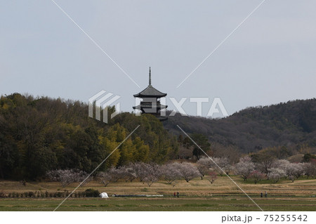 日本の岡山県総社市の五重塔 日本の岡山県総社市の五重塔 75255542