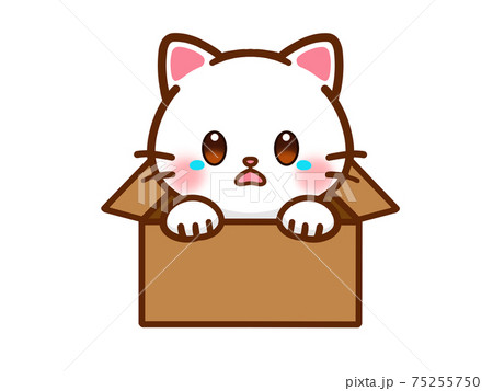 ダンボールと捨て猫のイラストのイラスト素材 [75255750] - PIXTA