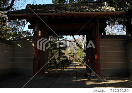 川越 中院 川越 中院 75256120
