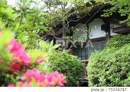 證誠寺(木更津市) 75256787