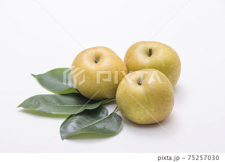 梨と梨の葉 フルーツ 果物 幸水梨 イメージ素材 梨と梨の葉 フルーツ 果物 幸水梨 イメージ素材 75257030