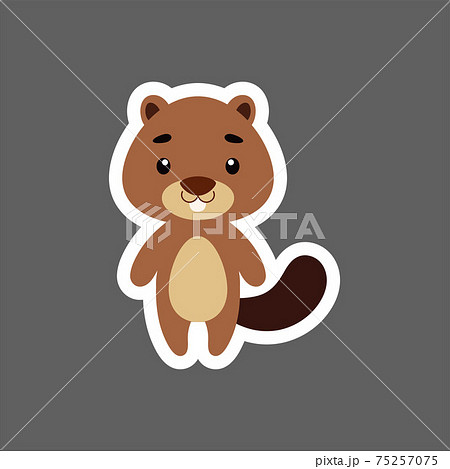 Cute little baby beaver sticker. Cartoon animal character for kids cards, baby shower, birthday invitation, house interior. Bright colored childish vector illustration in cartoon style. 75257075
