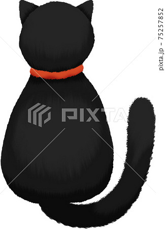 Black Cat Back View With Red Collar And Golden のイラスト素材 Black Cat Back View With Red Collar And Golden のイラスト素材