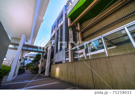 日本の横浜都市景観　石川町（元町・中華街）駅などを望む 75258033