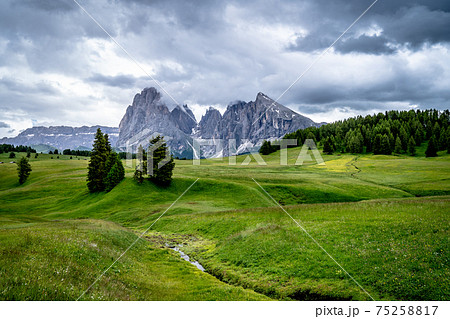 The green meadows of Seiser Alm in the iltalian alps. The green meadows of Seiser Alm in the iltalian alps. 75258817