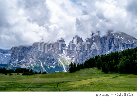 The green meadows of Seiser Alm in the iltalian alps. The green meadows of Seiser Alm in the iltalian alps. 75258818