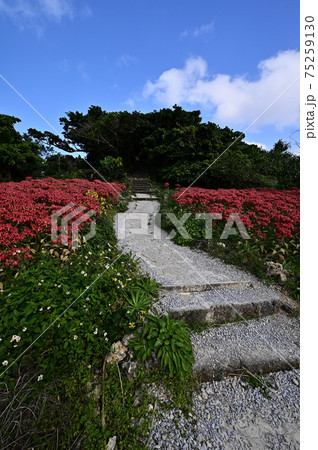 三天御座より 75259130