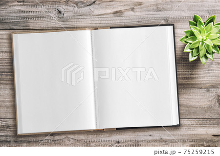 Open book mockup flatlay succulent plant wooden background Open book mockup flatlay succulent plant wooden background 75259215
