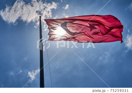 Turkish National Flag Wawing Up In The Sky Turkish National Flag Wawing Up In The Sky 75259331
