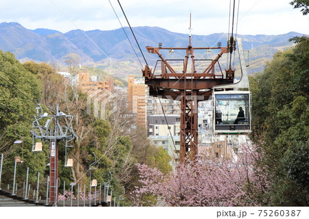 春の松山城ロープウェイとリフト 春の松山城ロープウェイとリフト 75260387