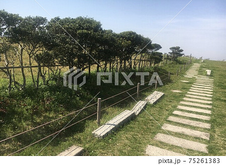 未来に向かって歩く 75261383