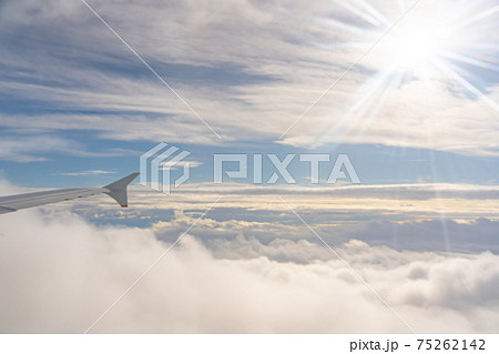 八丈島　八丈島空港　島　自然　屋外　離島　伊豆諸島　風景　リゾート　ワーケーション　観光　旅行 75262142