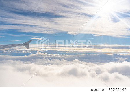 八丈島　八丈島空港　島　自然　屋外　離島　伊豆諸島　風景　リゾート　ワーケーション　観光　旅行 75262145