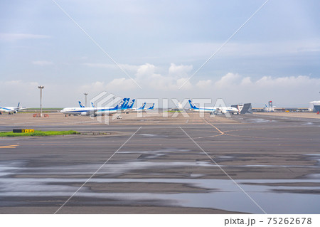 空港　飛行機　羽田空港　離陸　午後　夕暮れ　海　航空会社　エンジン　ブレーキ　ターミナル　全日空 75262678