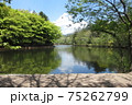 新緑、5月の軽井沢、雲場池 75262799
