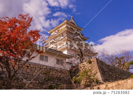 広島県福山市にある晩秋の福山城天守閣と紅葉 75263082