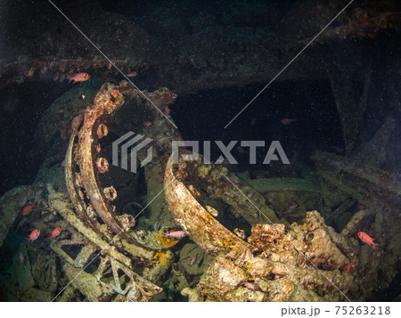 第二次世界大戦の沈船内に残る予備部品 (シャルムエルシェイク、紅海、エジプト) 75263218