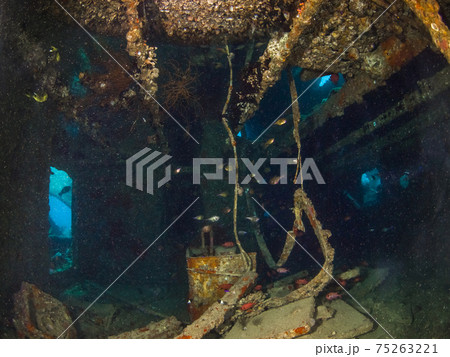 第二次世界大戦の沈船内 (シャルムエルシェイク、紅海、エジプト) 75263221