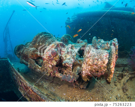 第二次世界大戦の沈船のキャプスタン (シャルムエルシェイク、紅海、エジプト) 75263223