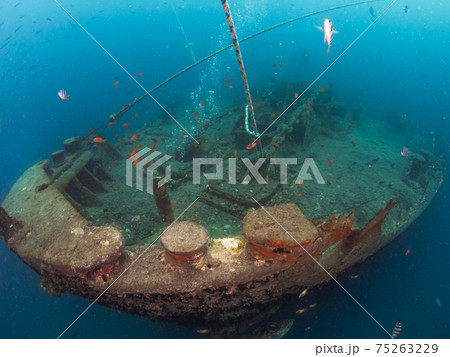 第二次世界大戦の沈船 (シャルムエルシェイク、紅海、エジプト) 第二次世界大戦の沈船 (シャルムエルシェイク、紅海、エジプト) 75263229