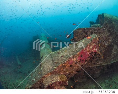 第二次世界大戦の沈船の折れた帆柱 (シャルムエルシェイク、紅海、エジプト) 75263230