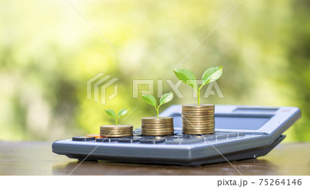 Tree on coin and calculator with ideas for financial growth and investment profit. 75264146