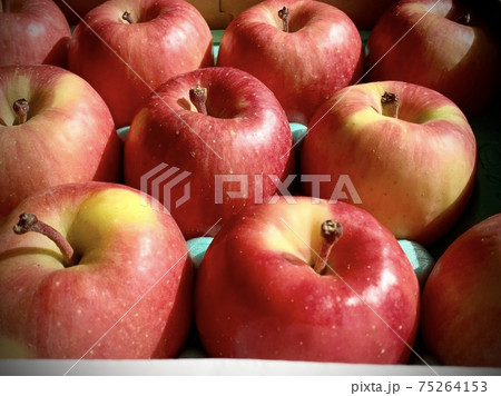 りんごのイメージ 写真素材 りんごのイメージ 写真素材 75264153