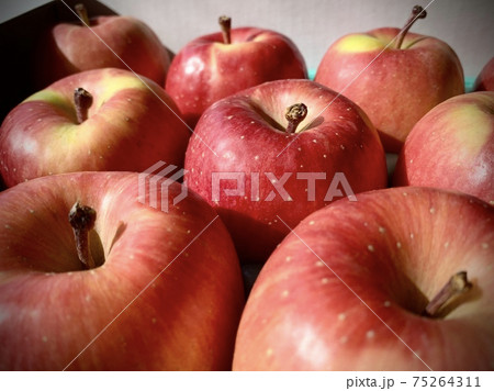 リンゴのイメージ　（こみつリンゴ)  写真素材 75264311