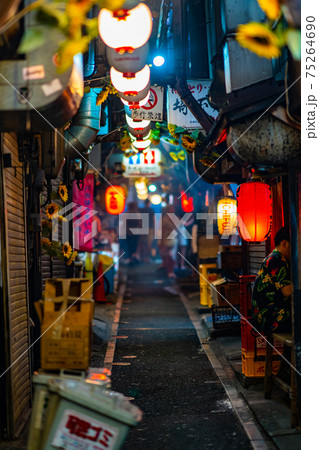 新宿 思い出横丁 歌舞伎町 大ガード 歓楽街 深夜 都心 夜景 東京 飲み屋 サラリーマン 観光客 新宿 思い出横丁 歌舞伎町 大ガード 歓楽街 深夜 都心 夜景 東京 飲み屋 サラリーマン 観光客 75264690